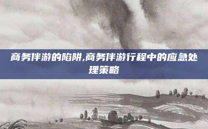 屯昌商务伴游的陷阱,商务伴游行程中的应急处理策略
